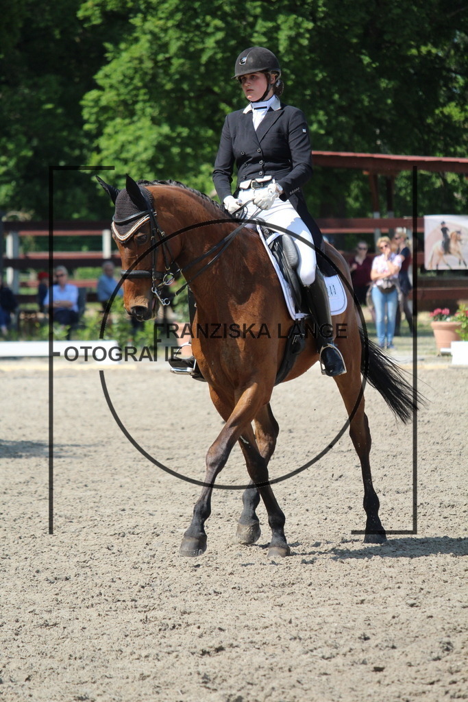 IMG_4895 | franziskalange - Realisiert mit Pictrs.com