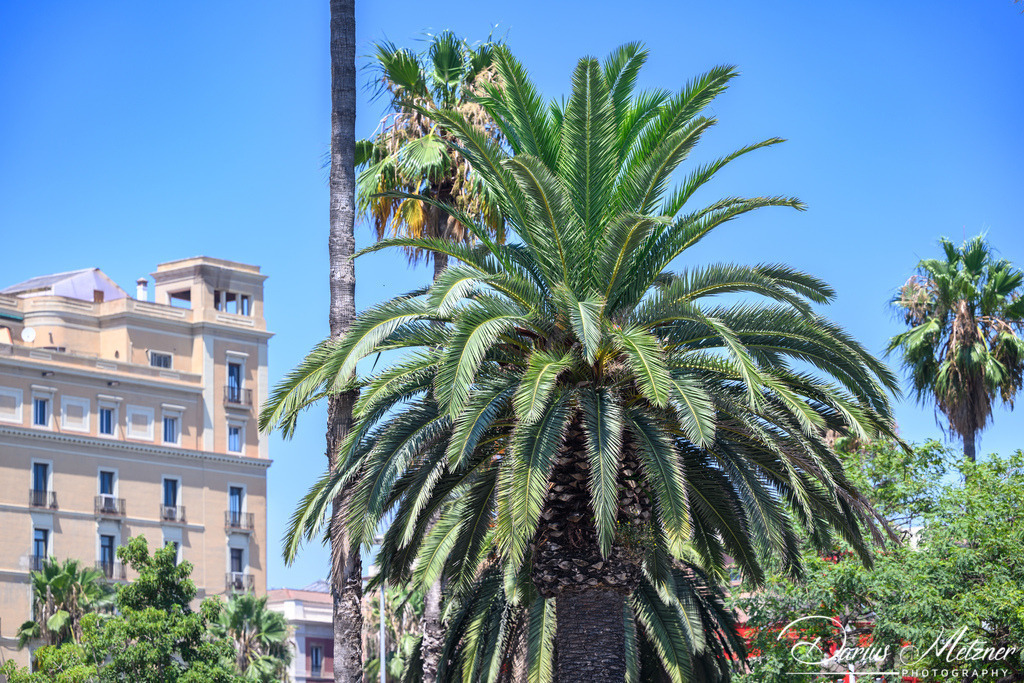 Barcelona | Bilder aus der Stadt Barcelona