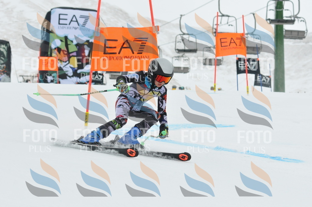 DSC_8744 | holidayphoto