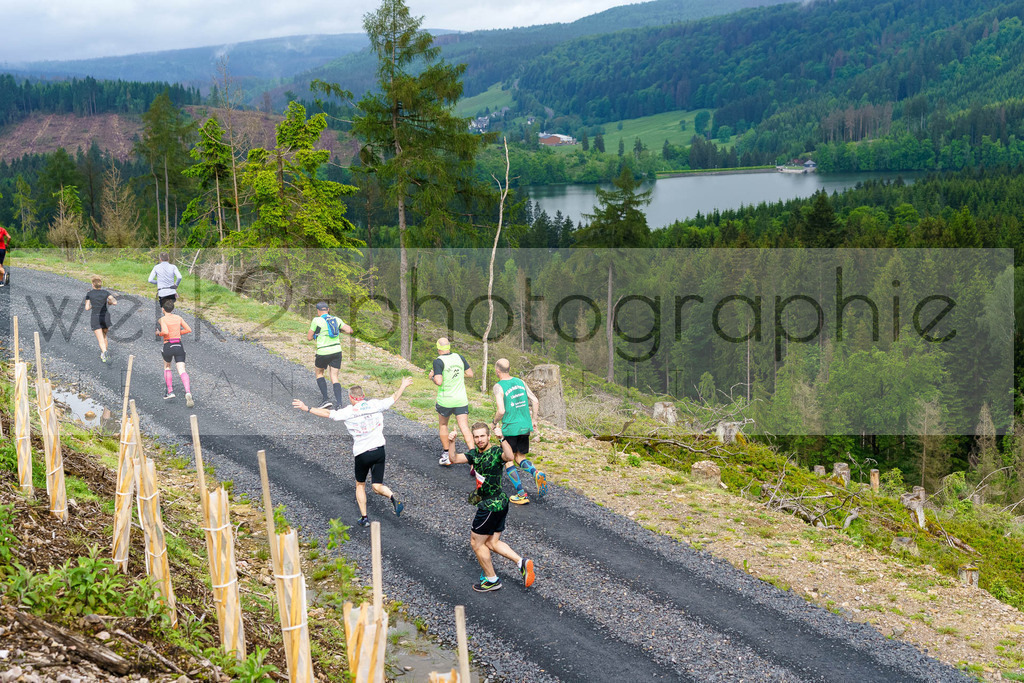 Rennsteiglauf Marathon 2024 | 25. Mai 2024 - 42,2 km von Neuhaus nach Schmiedefeld