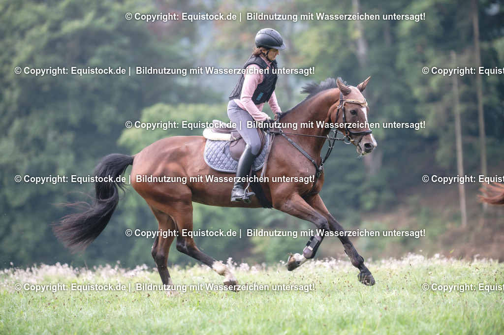 20250726_Vielseitigkeitslehrgang-Marbach_0064 | Foto: Thomas Hartig