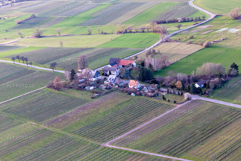 Luftbild: Windhof, grüne Grenze nach Frankreich in Schweighofen im Bundesland Rheinland-Pfalz in Deutschland. Foto: IMG_126167.jpg vom 20.03.2021 durch Werner Riehm/FLY-FOTO.de
