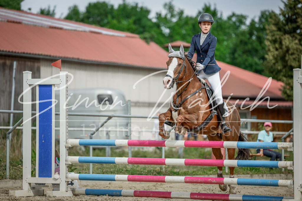 20250706-_3LI0914 | Tierfotografie Pferde, Hunde, Katzen, Haustiere.
Turnierfotografie Reitturniere, Reiten, Springreiten, Dressur in Hanau, dem Main-Kinzig-Kreis und dem Rhein-Main- Gebiet um Frankfurt
