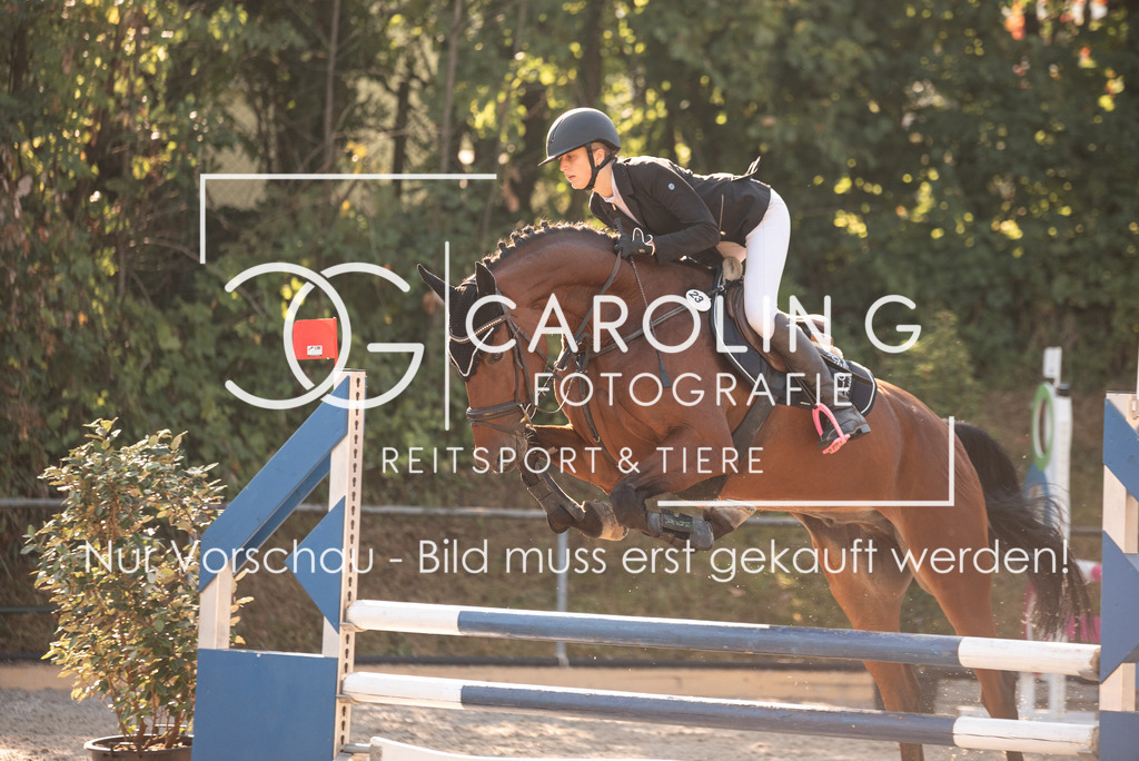 DSC_6617 | Turnierfotografin Carolin Gieschke, Turnierfotografie Carolin G Fotografie, Turnierfotos Kirchheim/Teck, Esslingen, Stuttgart, Bodenseekreis