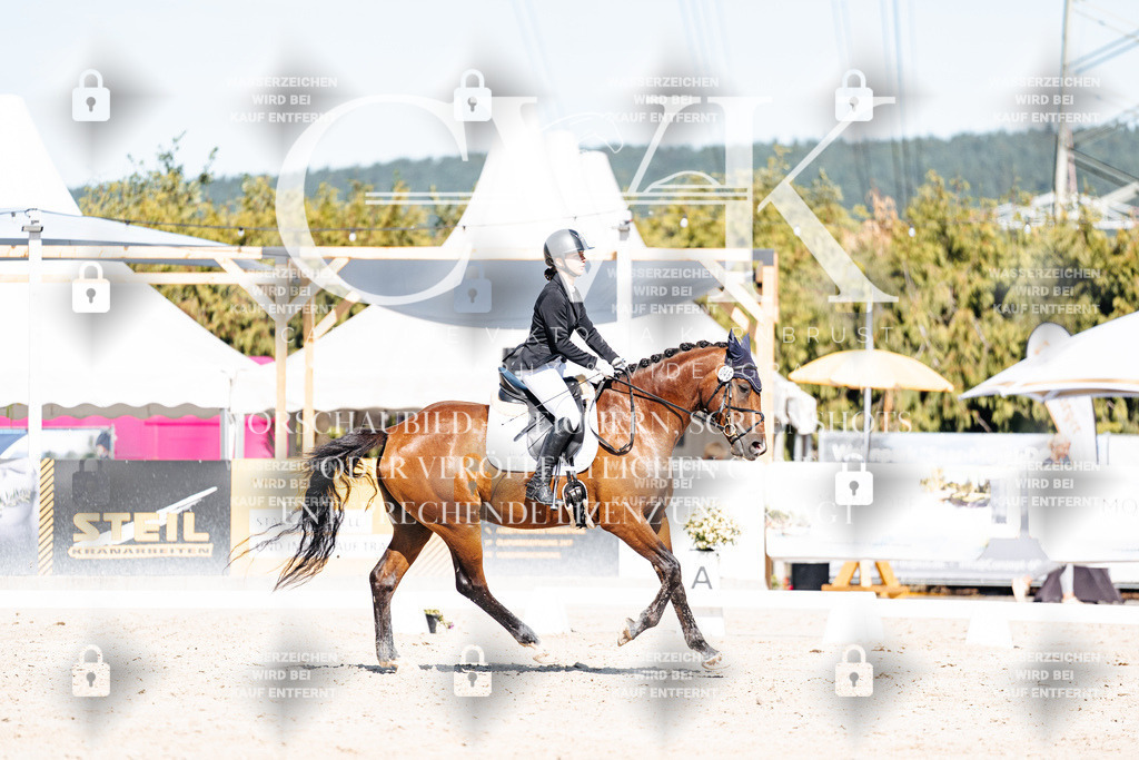 CK908746 | Turnierfotografie Pferdefotografie Trier Rheinland-Pfalz Pferdesport Reitsport Tierfotografie Sportfotografie Pferdevideo Pferdevideografie Equestrianvideography equestrianphotography  - Realisiert mit Pictrs.com