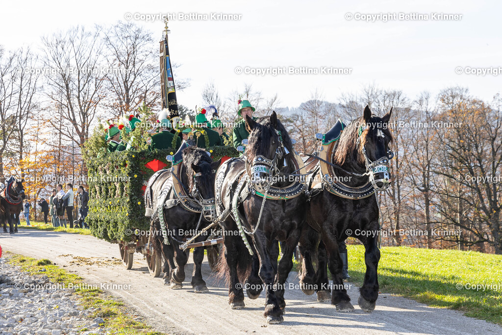 LBT24-1380 | foto-bettina-krinner - Realisiert mit Pictrs.com