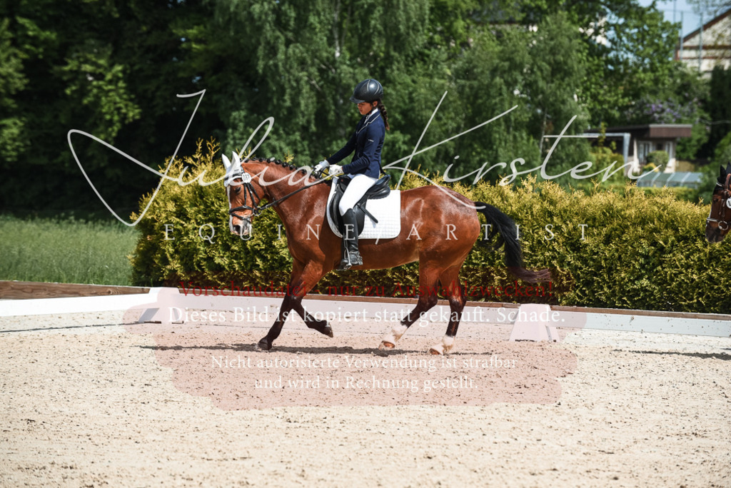 20230518_JK-Röhrsdorf-11-0725 | Pferde- und Turnierfotografie in Westsachsen. Pferdeportraits, Auftragszeichnungen und intuitive Kunst.