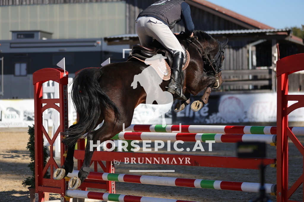 0P6A1188 | Willkommen bei Brunnmayr - Design & Fotografie – Ihrem Spezialisten für Reitturniere und Pferdeveranstaltungen in Oberösterreich, Salzburg und Bayern! Seit über 17 Jahren sind wir leidenschaftlich dabei.