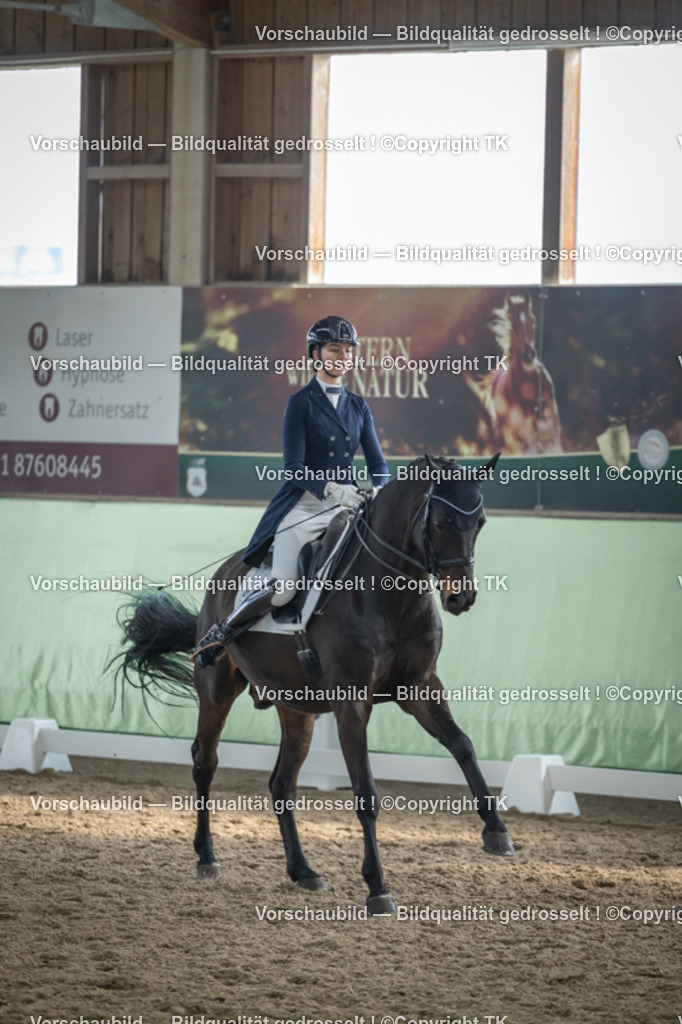 _D5A6562 | Emotionale Pferde- & People-Fotografie rund um Heidelberg, Leimen & Umgebung. Natürliche Fotos von Pferd, Mensch & Familie. Jetzt Termin sichern!