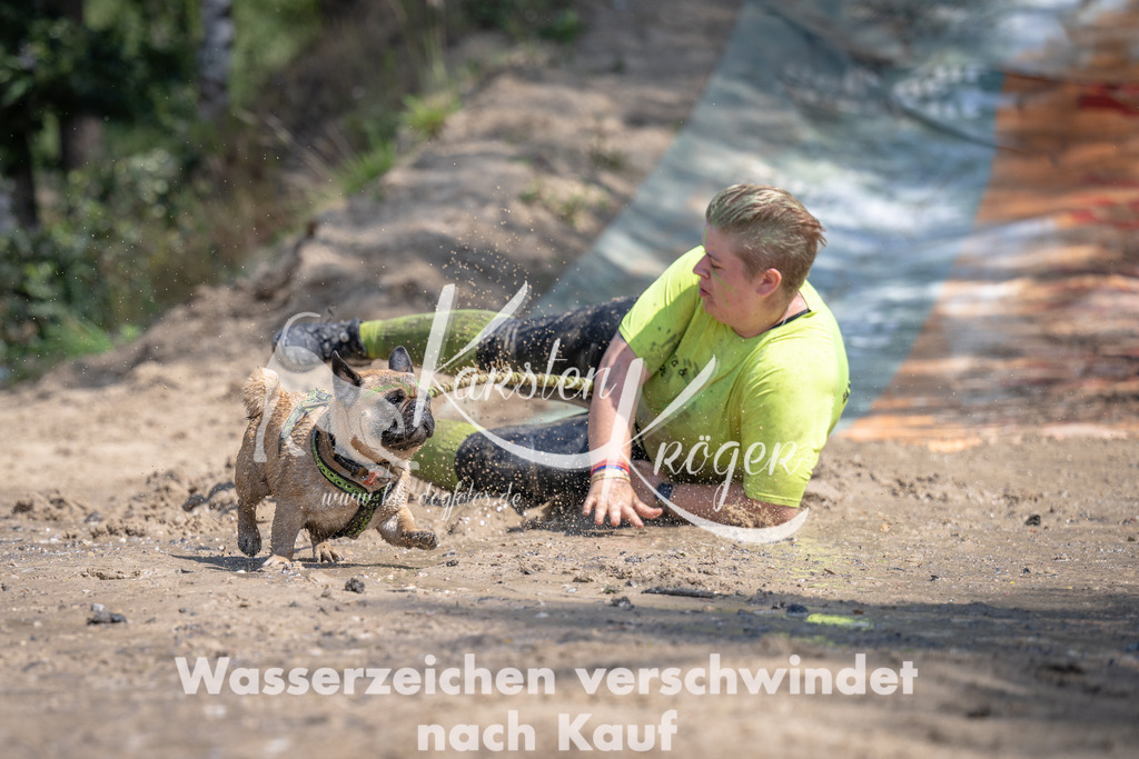 1205_ZZ91532 | kk-dogfotos