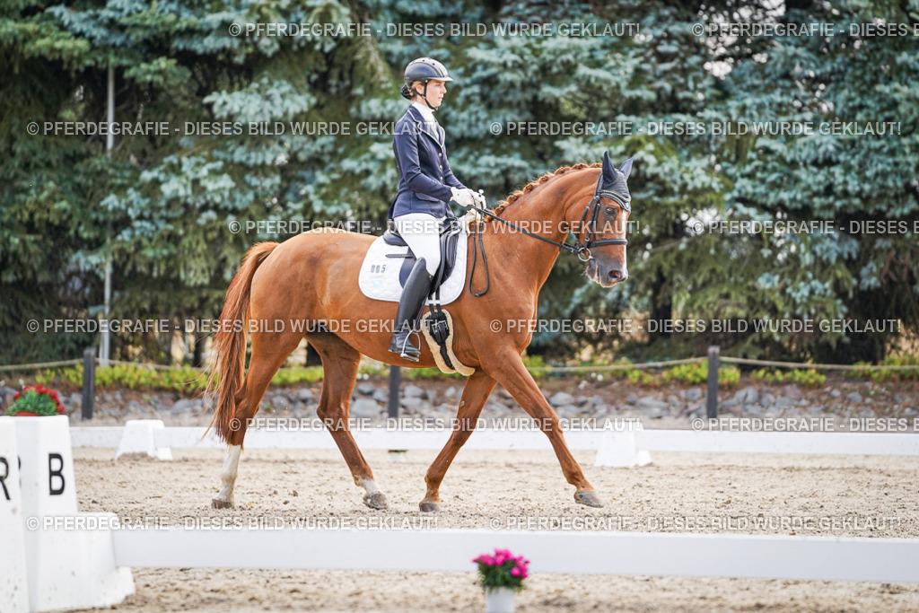 DSC00574 | Pferdegrafie