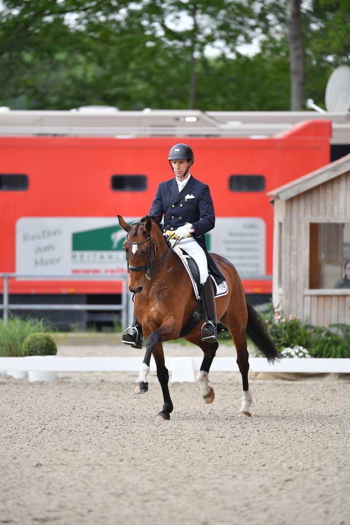 AntsBredemeier-25-40 | Der professionelle Turnierfotograf ✓ Reitsport Bilder ▷ Shop ✚ günstig & schnell ✚ mit Zugang für Redakteure