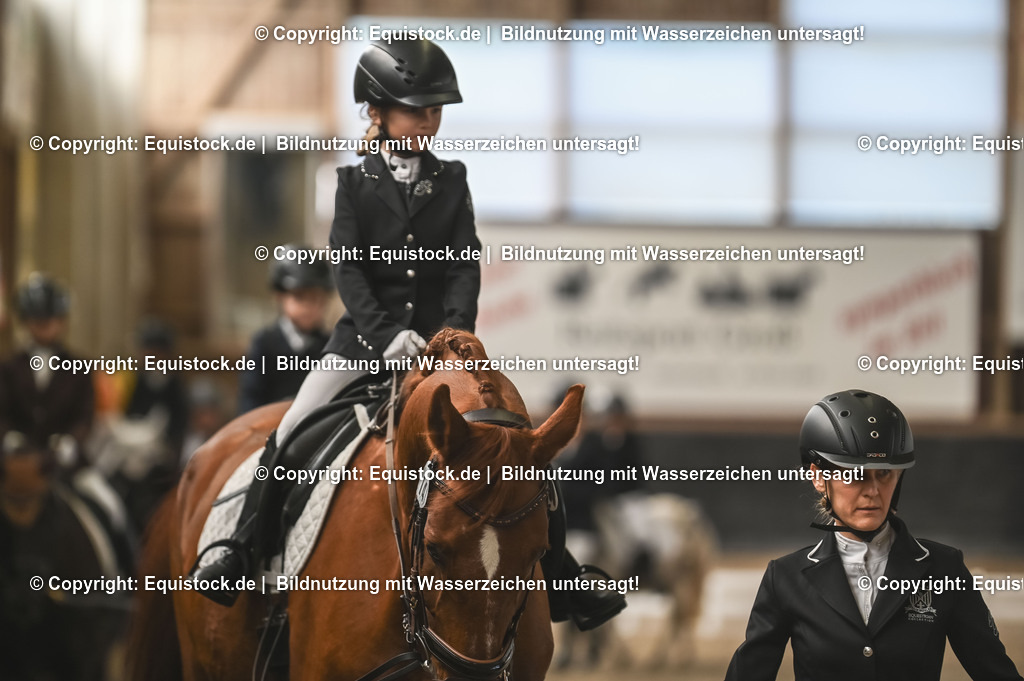 20231029_Führzügel-WB_Abteilung-02_0005 | Foto: Thomas Hartig