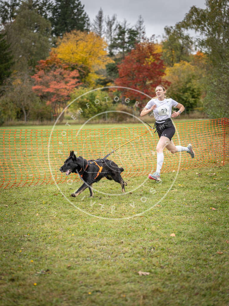 Pfotenfotografie_DV3A3005 | Hundefotografie, Tierfotograf, Pfotenfotografie, Fotoshooting Hund, Hunde Portrait, Hundesport, Hundeportraits, Heideshooting, Hunde, Sportfotograf, Hundefotograf, Turnierhundsport, THS,  - Realisiert mit Pictrs.com