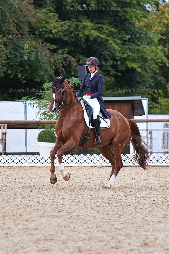 12-238-DRESSUR  S___  -Marixx-5216 | working equitationturnier fotograf videograf stoibphotography marixx film working equitation deutschland reitsport turnierfotografie eventfotografie equestrian events