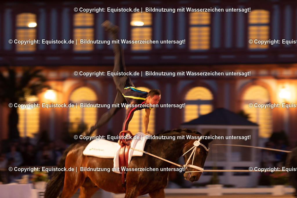 20230527_Voltigieren_NASPA_Flutlicht_0653 | equistock