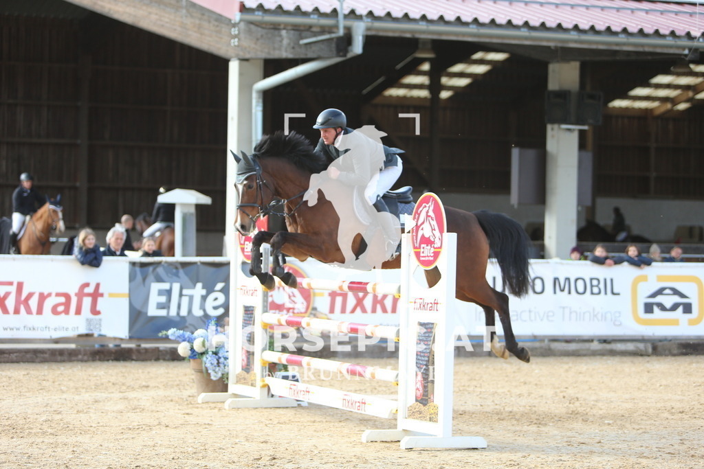 DL2Q0886 | Willkommen bei Brunnmayr - Design & Fotografie – Ihrem Spezialisten für Reitturniere und Pferdeveranstaltungen in Oberösterreich, Salzburg und Bayern! Seit über 17 Jahren sind wir leidenschaftlich dabei.