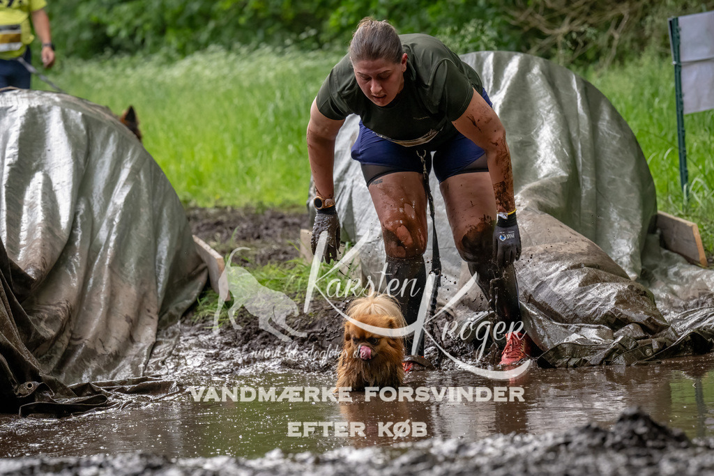 1511_ZZ92237-Bearbeitet | kk-dogfotos