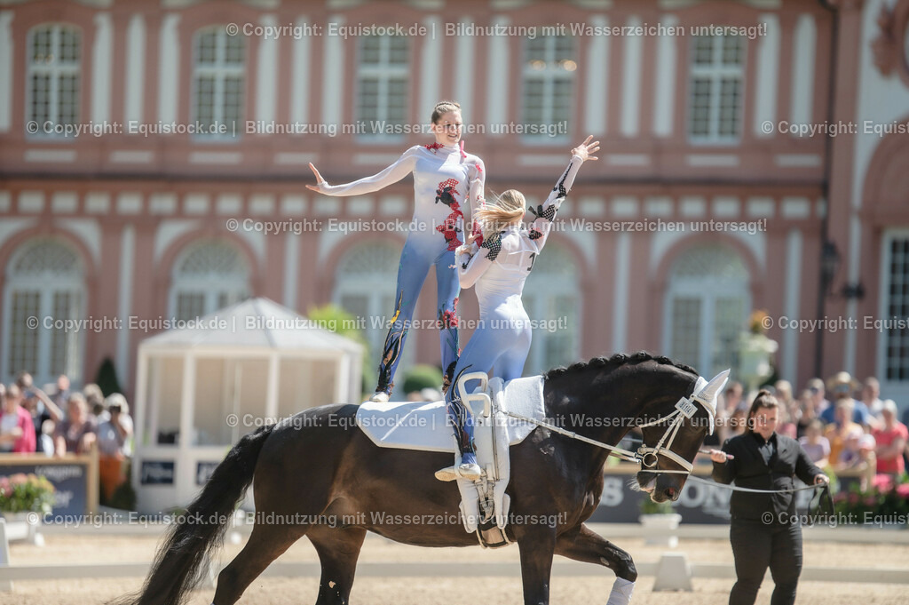 20230528_Voltigieren_NASPA_0282 | equistock