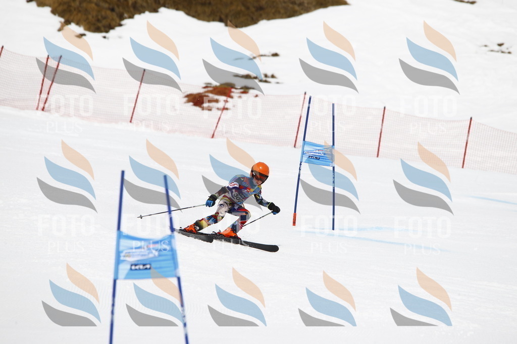 _U3G7510 | holidayphoto