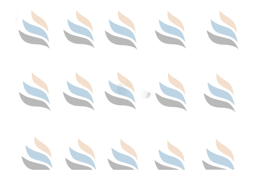 _U3G2975 | holidayphoto