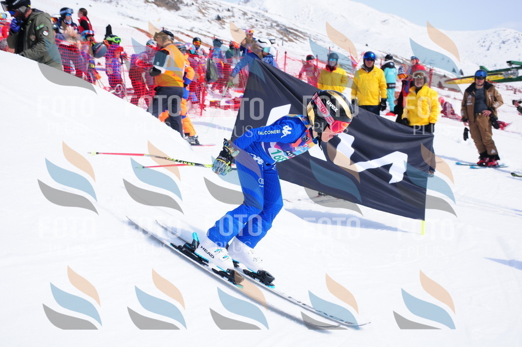 DSC_1471 | holidayphoto