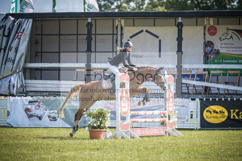 DOS_3120 | Entdecke hochwertige Reitturnierfotos von Foto Oger. Professionell, emotional und authentisch – jetzt Lieblingsmomente im Shop bestellen.Deutschlandweite Turnierfotografie. - Realisiert mit Pictrs.com