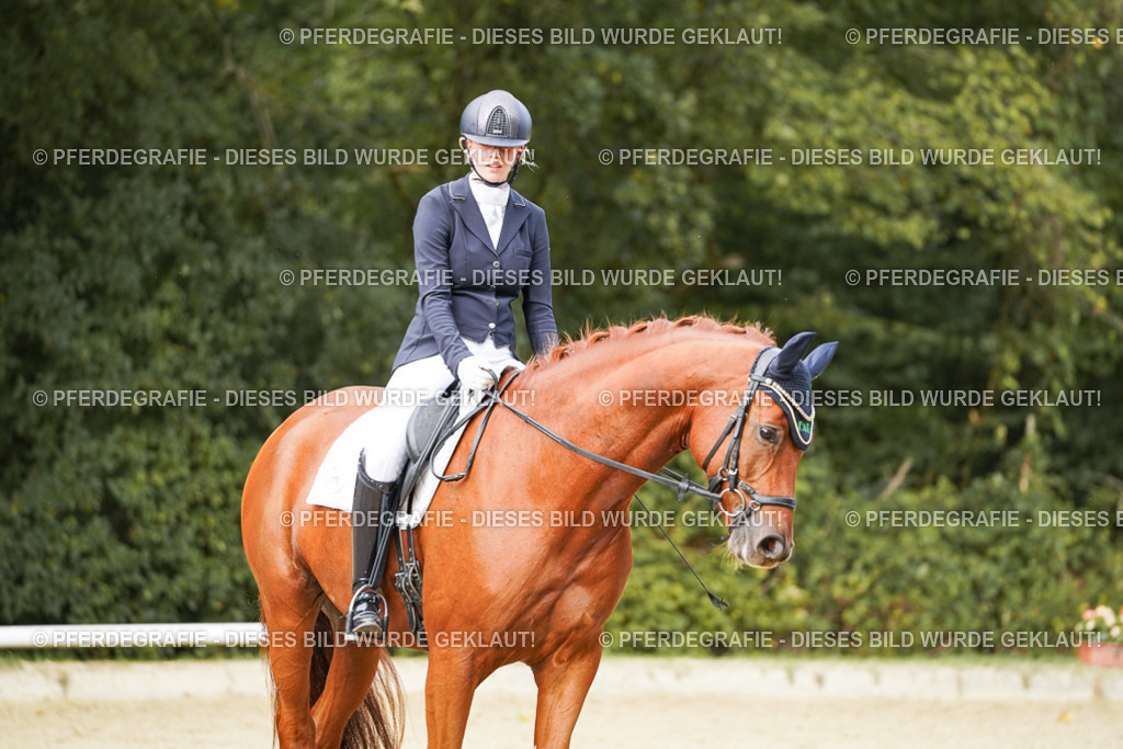 DSC02882 | Pferdegrafie