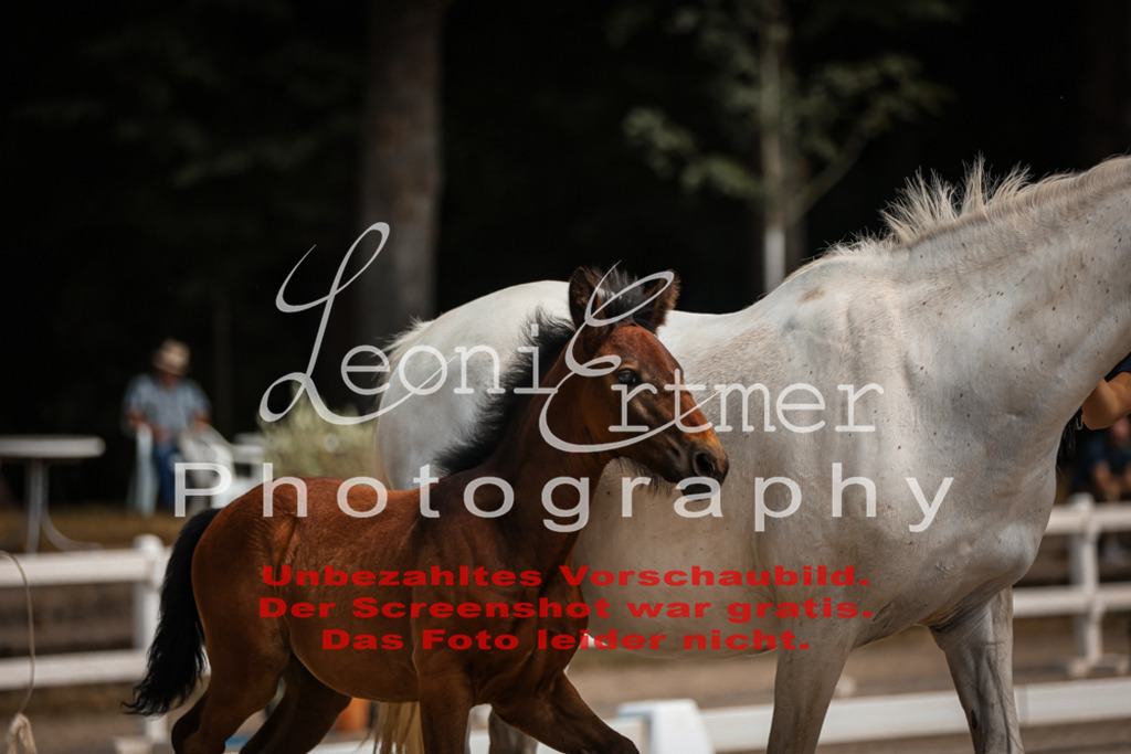 03.DoAB00033 | Leoni Ertmer Photography - Realisiert mit Pictrs.com