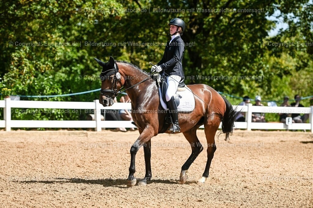 20230715_02_Dressurreiterprüfung Kl.L_0080 | equistock