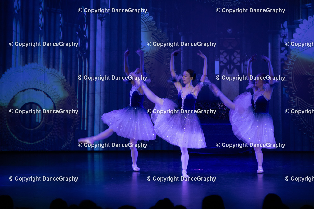 GPHY1543 | DanceGraphy - Realisiert mit Pictrs.com