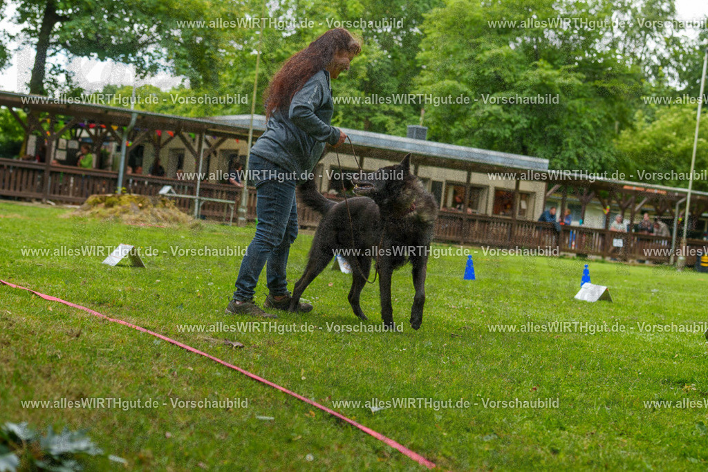 @allesWIRTHgut_Tierfotografie - www.allesWIRTHgut.de - 7R500244 | Professionelle Tierfotografie in Mönchengladbach von Daniel Wirth (allesWIRTHgut). Liebevolle & natürliche Bilder von Hunden & Katzen für unvergessliche Erinnerungen.