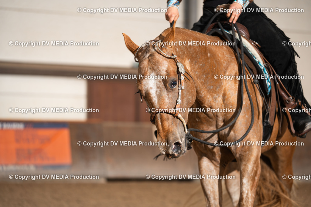 Heiligenwald Tag 1-2860 | dv-media-shop - Realisiert mit Pictrs.com