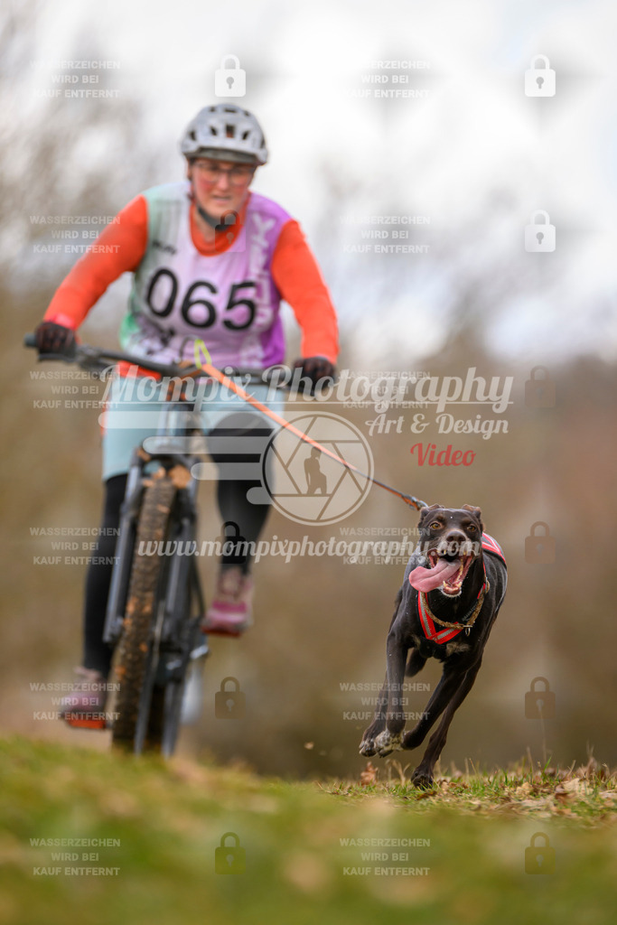 MompixPhotography_10Schwabentrail2026_SO_Bike-78 | PayLife