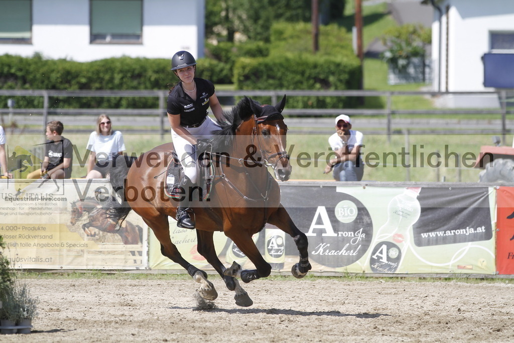 _MG_6138 | equestrian-live-com