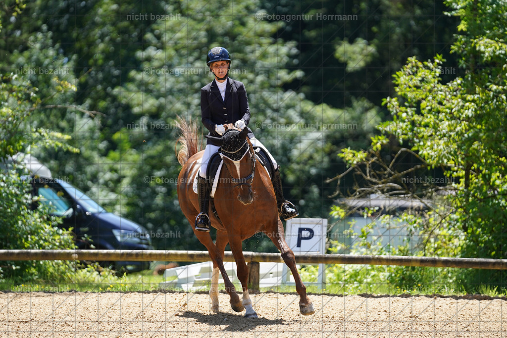 20240705-FAH03807 | Turnierbilder von Grafing, Reitsportbilder, Turnierfotos, Turnierfotografen Bayern, Pferdefotograf, Fotoagentur Herrmann