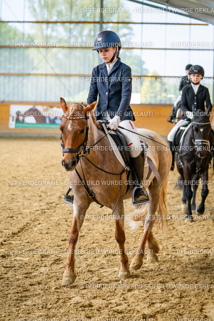 DSC02764 | Pferdegrafie