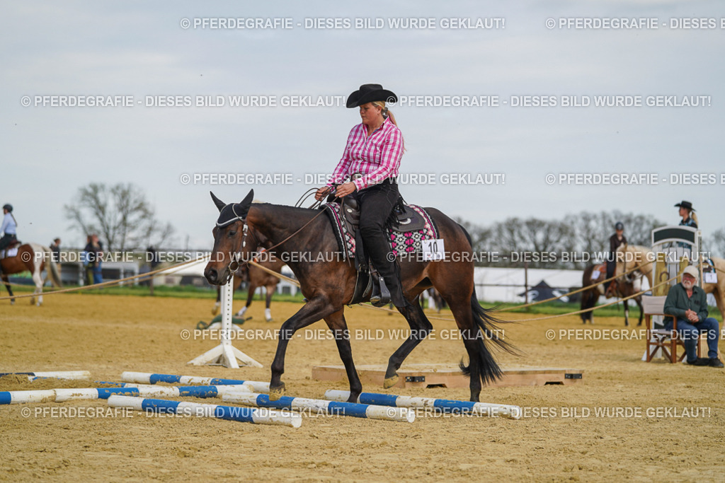 DSC05232 | Pferdegrafie