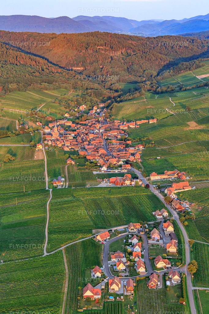 Aerial view: View of the town from the east in Blienschwiller in the state Bas-Rhin, France. – Photo: IMG_137943.jpg taken on 08/19/2023 by Werner Riehm/FLY-FOTO.com – Resolution of the original: 3557 x 5335 px