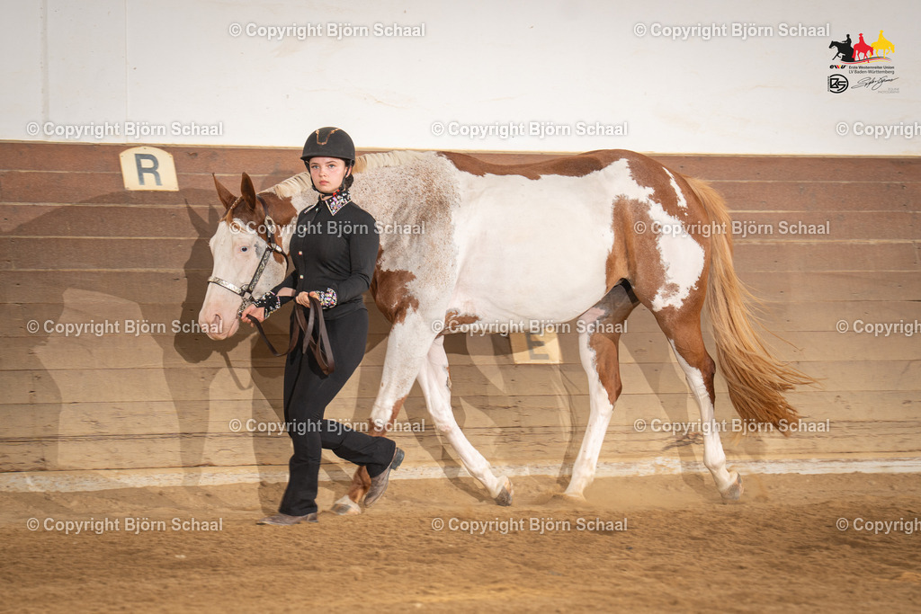LMS05567 | BS-foto