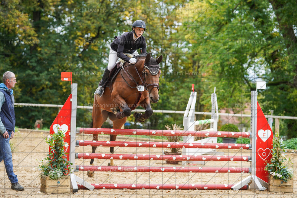 20221009-FAH08817 | Diessen am Ammersee, 2022, Dressur- und Springturnier, Reitsportbilder, Turnierfotografen Bayern, Pferdefotografen, Fotoagentur Herrmann, Turnierbilder