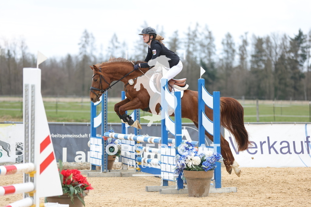 0P6A8088 | Willkommen bei Brunnmayr - Design & Fotografie – Ihrem Spezialisten für Reitturniere und Pferdeveranstaltungen in Oberösterreich, Salzburg und Bayern! Seit über 17 Jahren sind wir leidenschaftlich dabei.