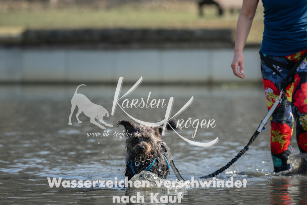 1304_ZZ94468 | kk-dogfotos