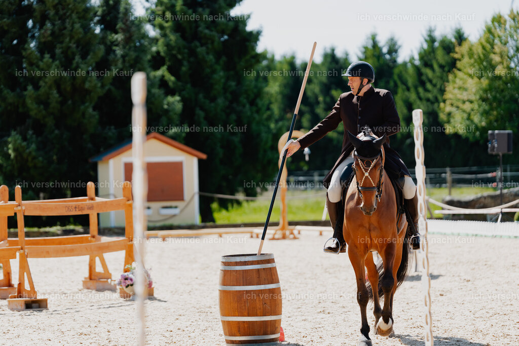 Gernot25_FHC2025-08310 | working equitationturnier fotograf videograf stoibphotography marixx film working equitation deutschland reitsport turnierfotografie eventfotografie equestrian events