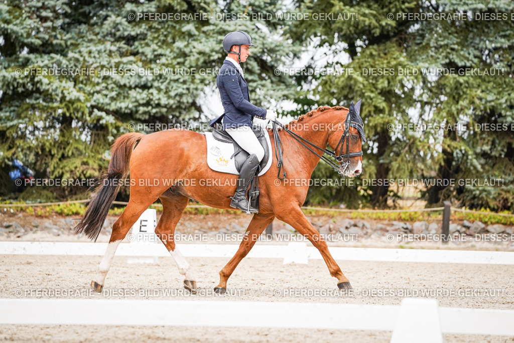 DSC07009 | Pferdegrafie