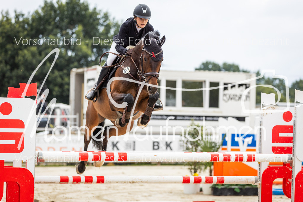 BHO-2PhSpr-M-046 | MomenTaufnahmen Pferdesportfotos