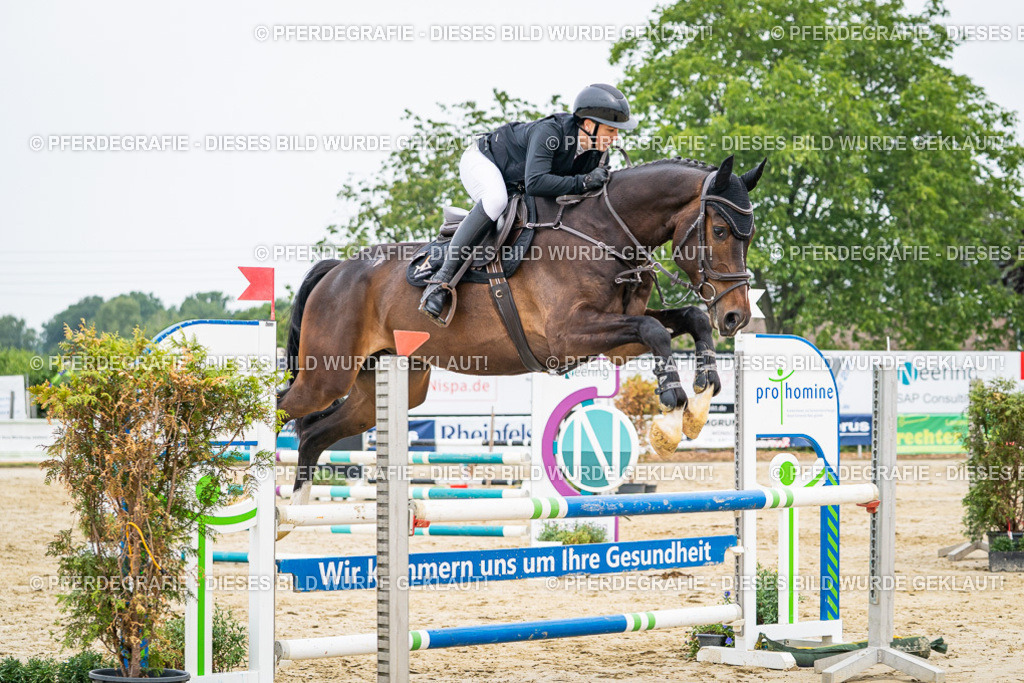 DSC09798 | Pferdegrafie