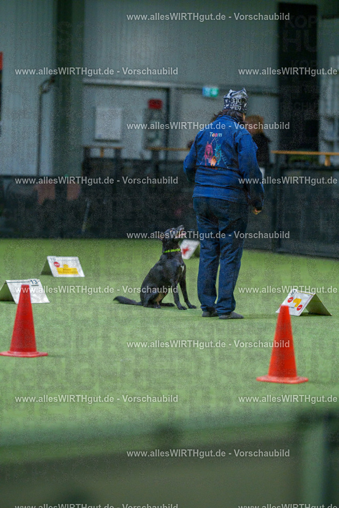 7R501217 | Professionelle Tierfotografie in Mönchengladbach von Daniel Wirth (allesWIRTHgut). Liebevolle & natürliche Bilder von Hunden & Katzen für unvergessliche Erinnerungen.
