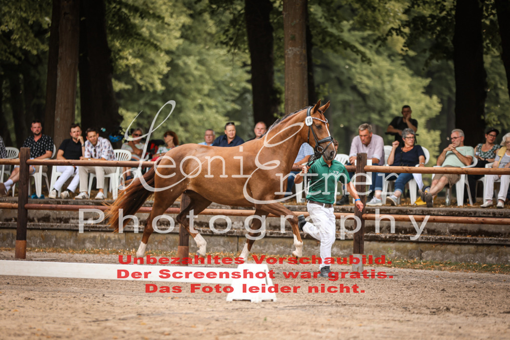 Do2.R00062 | Leoni Ertmer Photography - Realisiert mit Pictrs.com