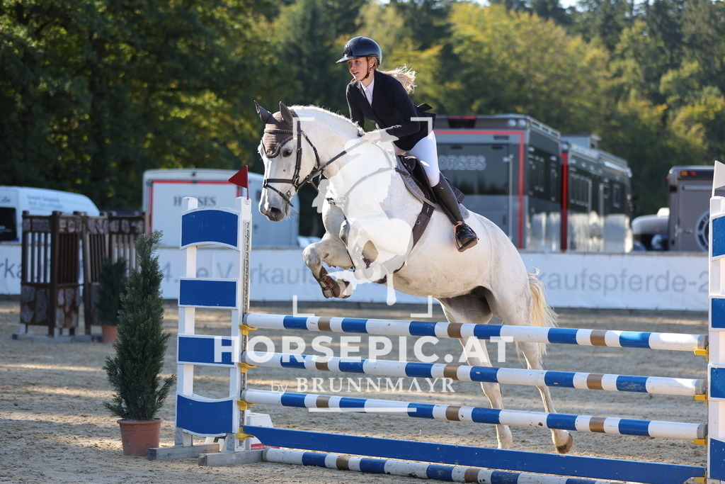 0P6A0909 | Willkommen bei Brunnmayr - Design & Fotografie – Ihrem Spezialisten für Reitturniere und Pferdeveranstaltungen in Oberösterreich, Salzburg und Bayern! Seit über 17 Jahren sind wir leidenschaftlich dabei.